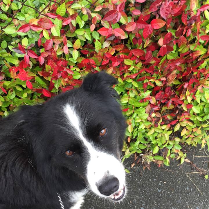 23343035 4ccc 4a42 bd03 80ada07f7d2d 1562804896090