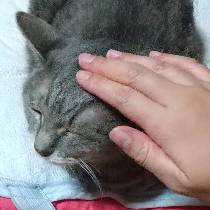 23343864 6244 4d91 b22d 65b8c5f43680 1663682957295