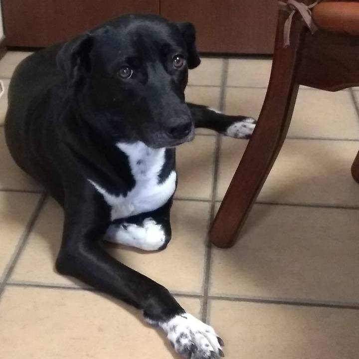 23343d64 9ba0 4c29 aec5 ef33105bad59 1595585491388