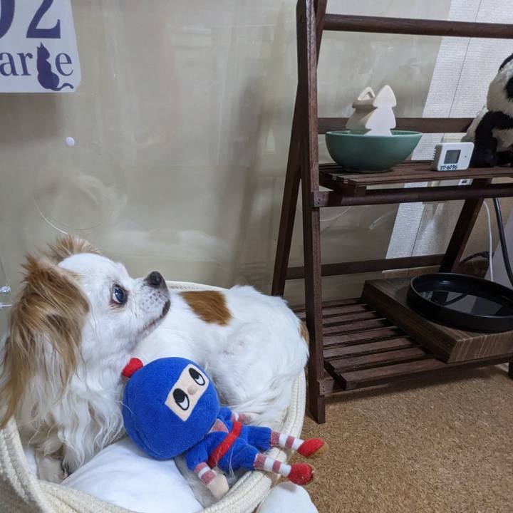 23344394 4b4c 4602 b574 b8262ac39e01 1678553160459