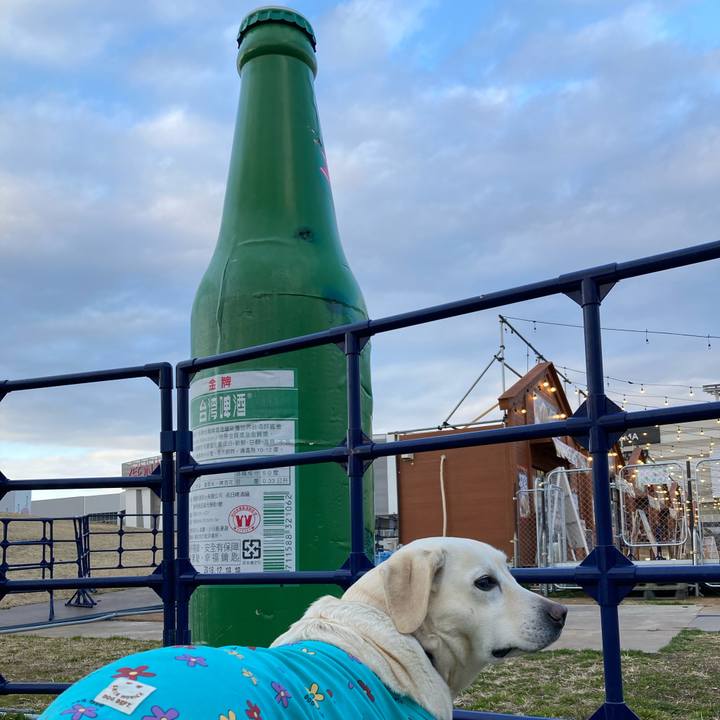 2334533e 6b70 4dd2 9a4b 9aa391255f2a 1708391028347