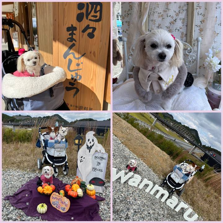 23345356 373d 4339 9d10 6cd5a73c47f2 1698482859553