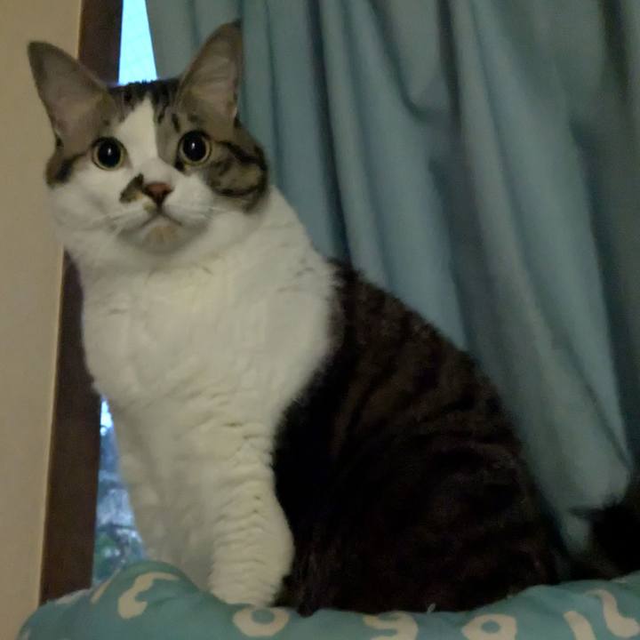 233479ef cce1 44be b4aa 83acbc587fb9 1763672023353