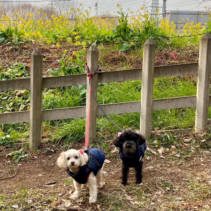 23348882 cf1d 4238 8239 9b48351c64fd 1771576571432