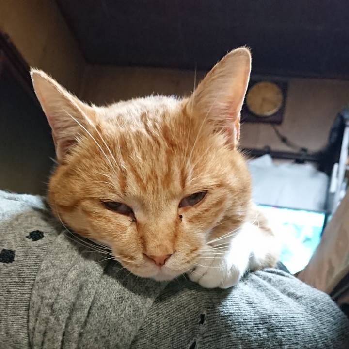 2334cf91 48c7 48d4 930c b03955801255 1575495897727