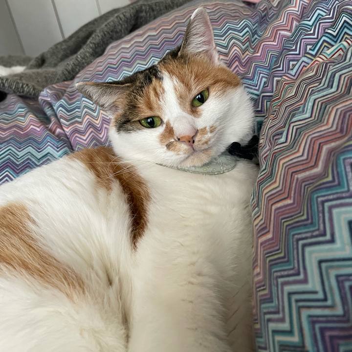 2334e701 387f 4a9e b81c 9130ed28c0d4 1668123498000