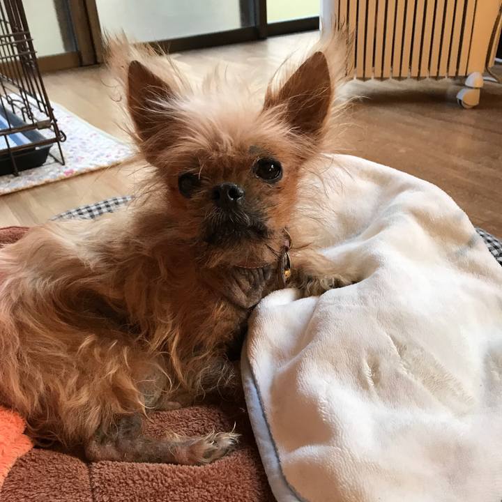 2334e7fc ad2b 4bb8 b044 521e9c5de8ec 1545090062607