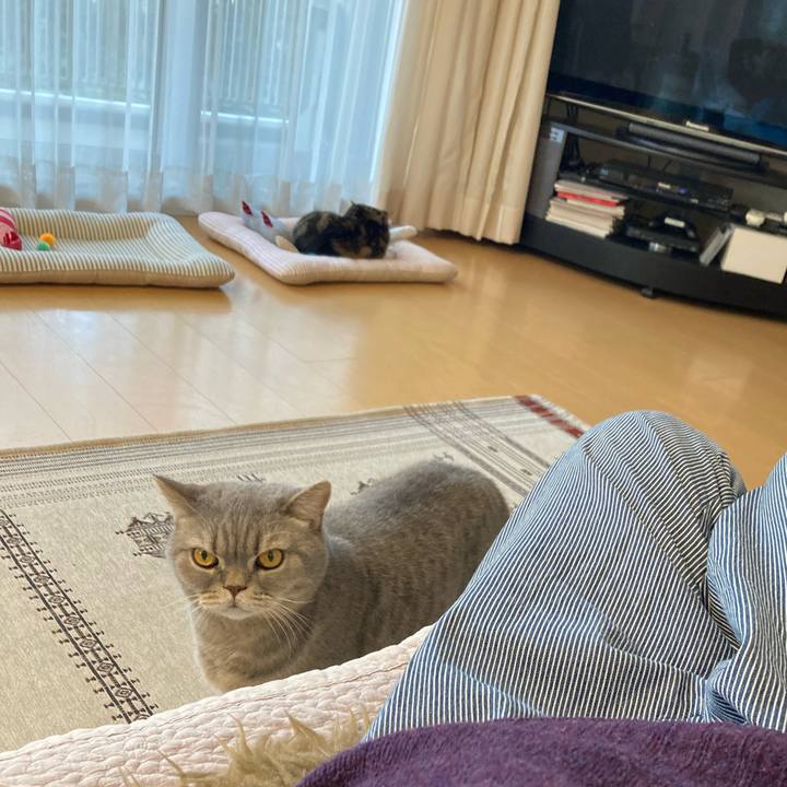 233540b8 8613 4f69 8499 a55973ccd756 1773828757294