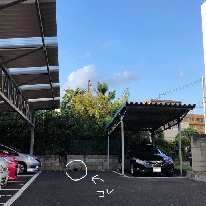 23354427 e61d 45ca ad8c 7cddb7a119fb 1569073961560