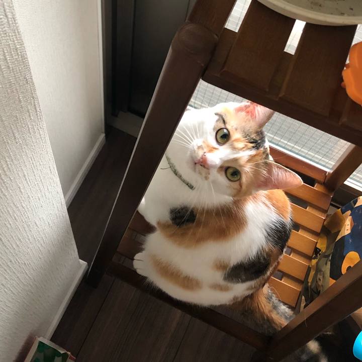 23355d36 7921 4843 b864 af314395d05e 1595657459539