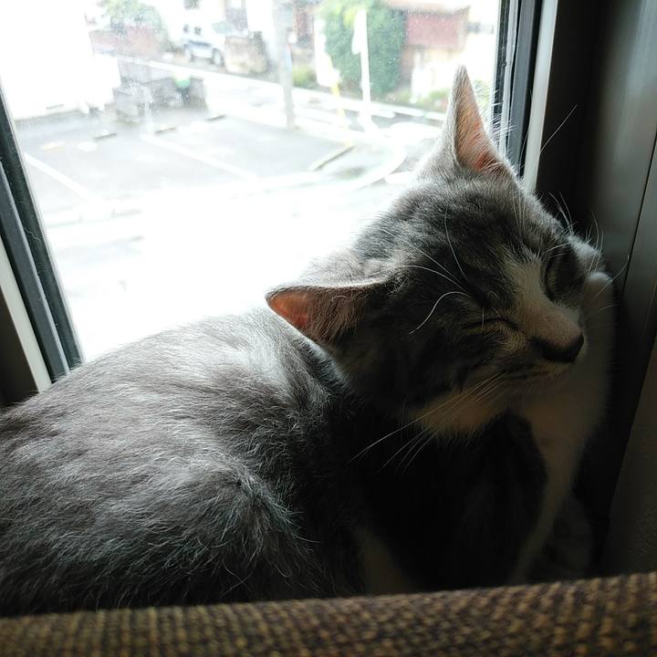 23356871 046a 4a33 ae57 2f00e0b109b3 1563254237638