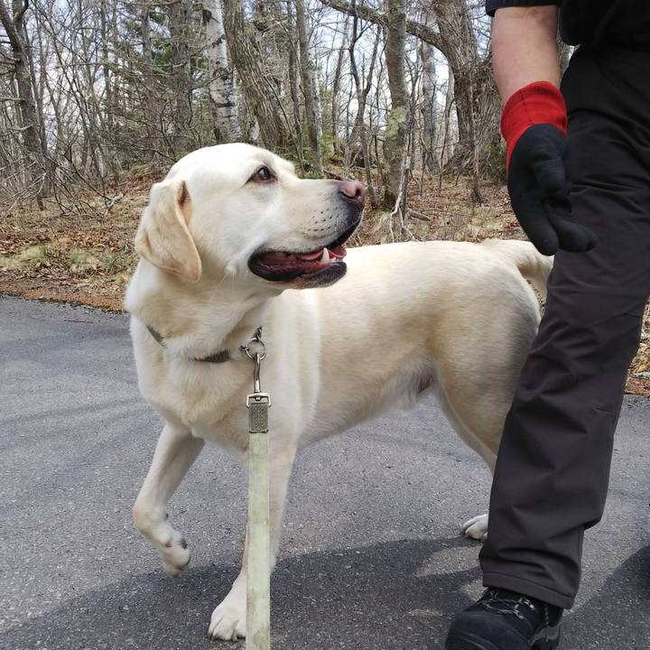 2335a27f 0aa2 4c37 a45b 9ba115817cdb 1556936268650