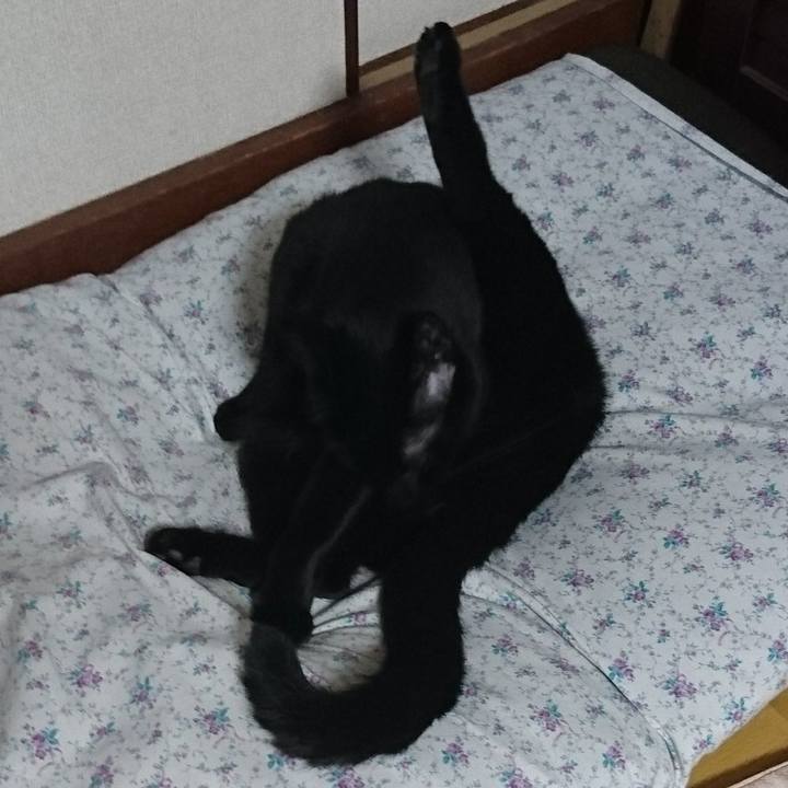 2335aade 1015 48fc 8281 e781bfad4261 1525335318883