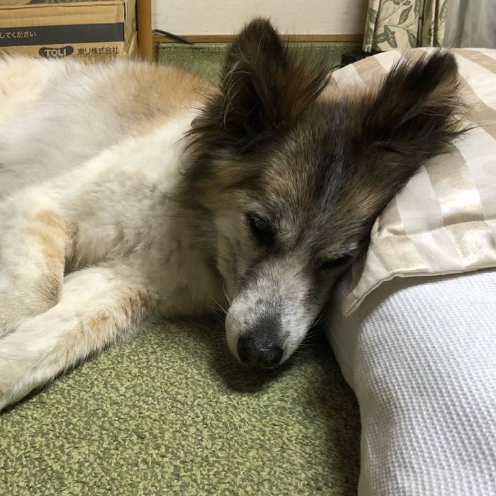 2335b3a9 b2fc 49eb aef9 b3341ab442ac 1531348637603