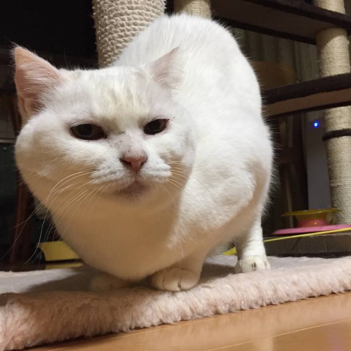 2335ef3b 7f02 495d 974c 0680bc183ad3 1519274523132