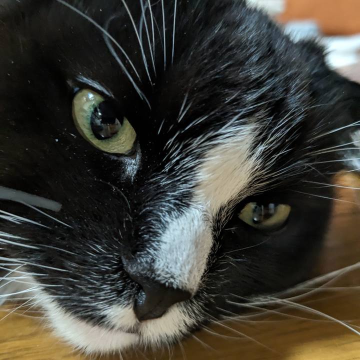 2335f423 1668 429b 954d f947443449d9 1709802734453