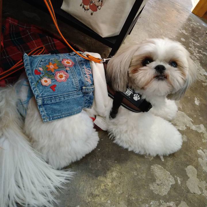 2336086a 80bb 40a1 a2e5 99f3cc1cab7d 1620714951475