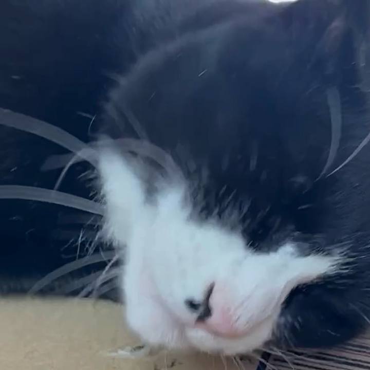 23367a68 6e16 4654 9af0 26b4dfaa1301 1763258987700