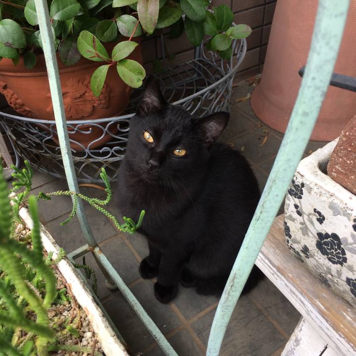 233682d4 5ebf 4e84 ae1d 1ea46ac85ee9 1571617794278