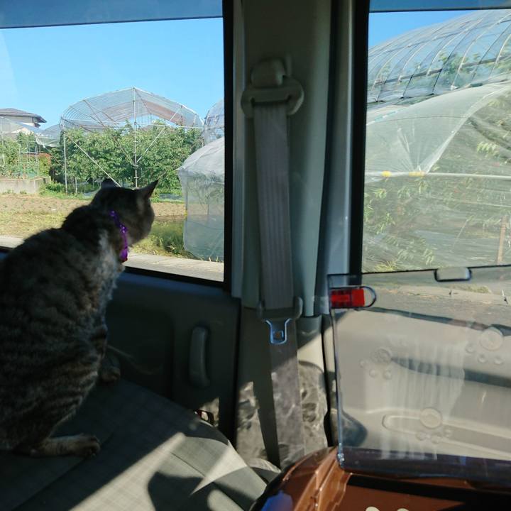 23369a7f adcc 4622 bafb 488a869aff41 1592640560226