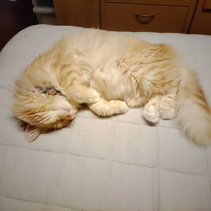 2336acbc 3d2f 4c95 bd9a 860c79944951 1659477182225