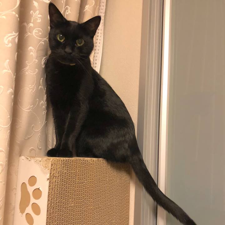 2336dff5 c157 44d4 aee9 b5c1a4c3a0d8 1540995277497