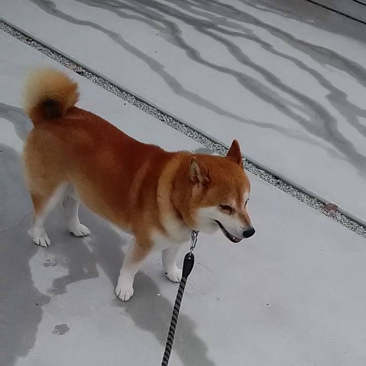 2336e356 ad3d 433a 8dc2 32caae5b2af1 1658229451091