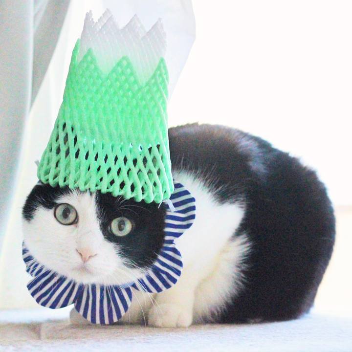 2336e385 8138 4d99 a2d3 4ffbcf1a27dc 1579302582686