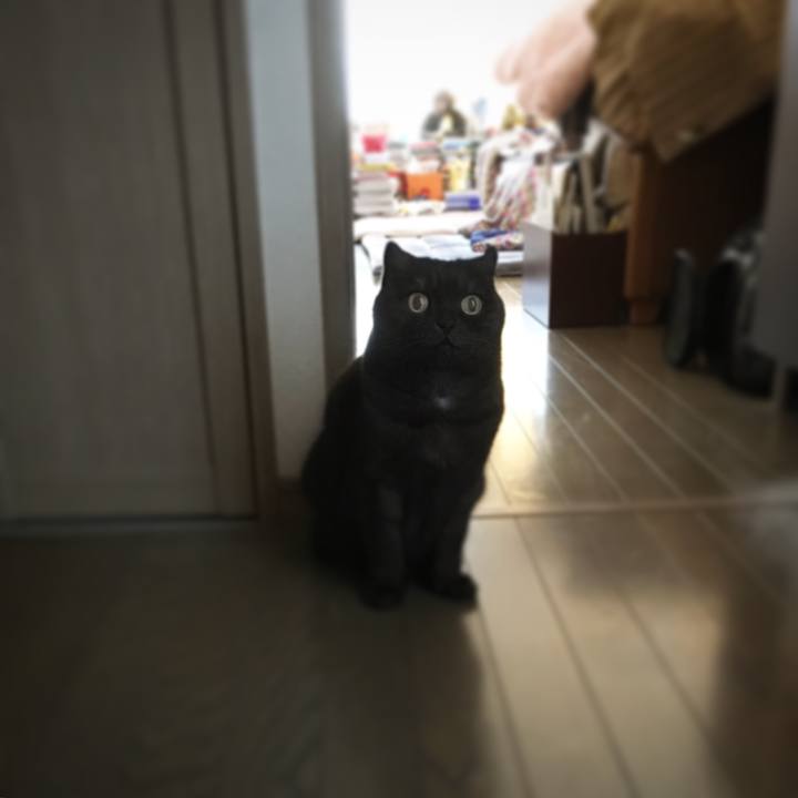 2336ef0d 4168 4e74 9477 5207ea9f341f 1543554578202