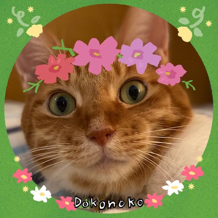 2336f40a 3169 41df bfeb 4be2b9d18305 1726920111752