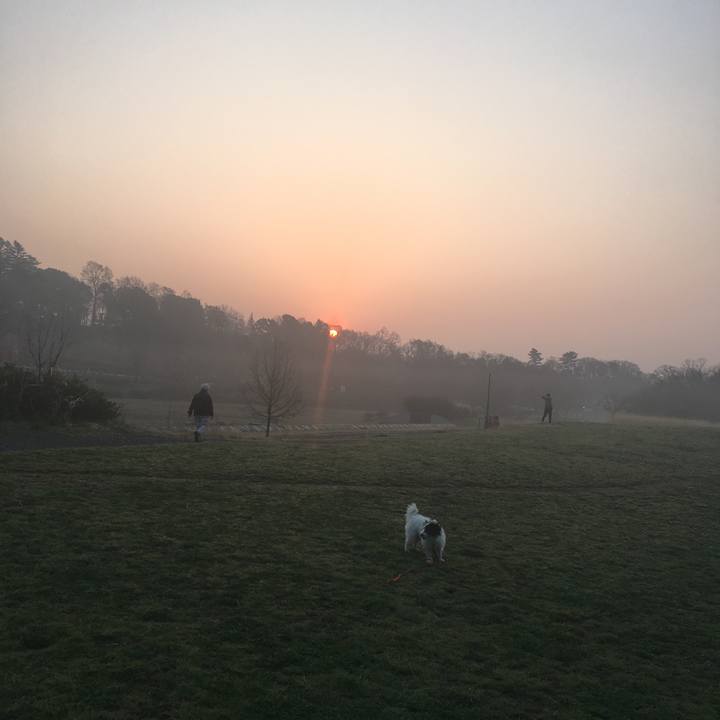 2337121d d294 444c a5f1 f1f87b376059 1522189413913