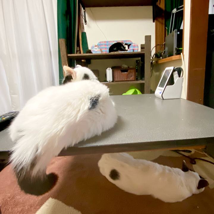 233736c6 38ae 4207 b6e9 d7693e32d097 1614674319814