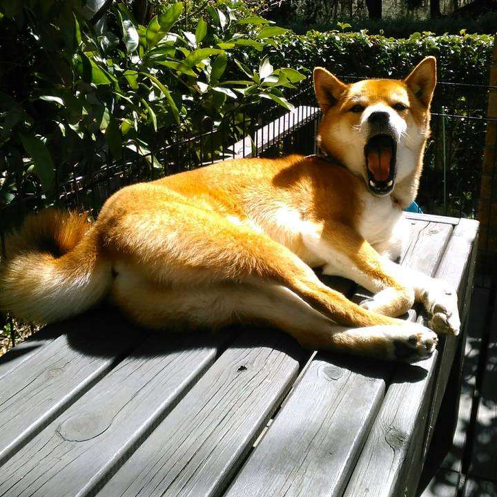 23373bfa f442 4de9 abe2 b3bef06d65a0 1520825735815