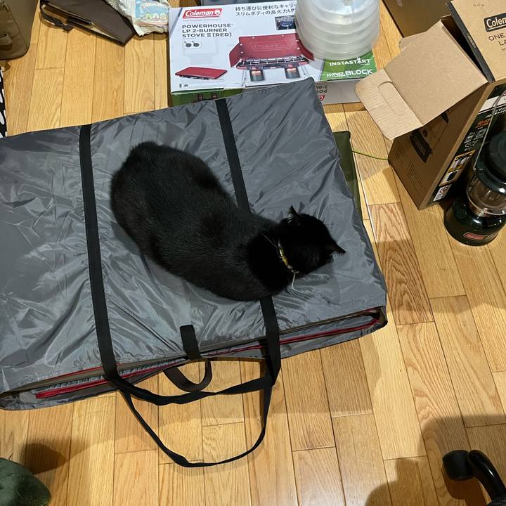 2337569e 5a1d 44b3 b11b 4bf8bde0724e 1682724757174