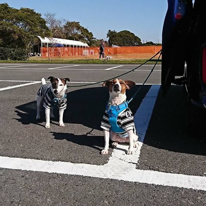 23378eb0 b6dd 4fa5 873d 59c6951eb1cc 1582421775039