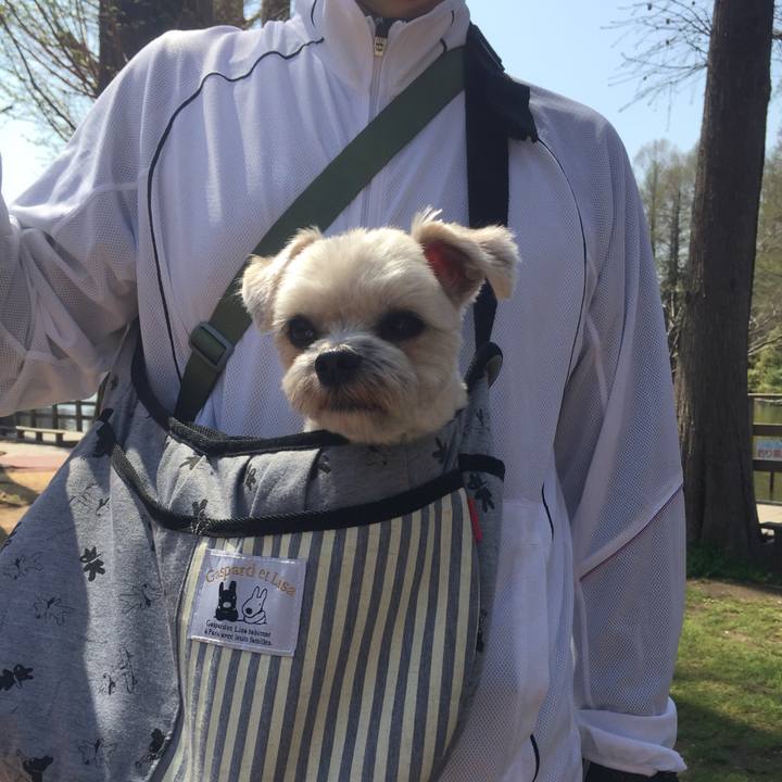 2337a327 54e8 449b 96de deb88c92169d 1522497821381