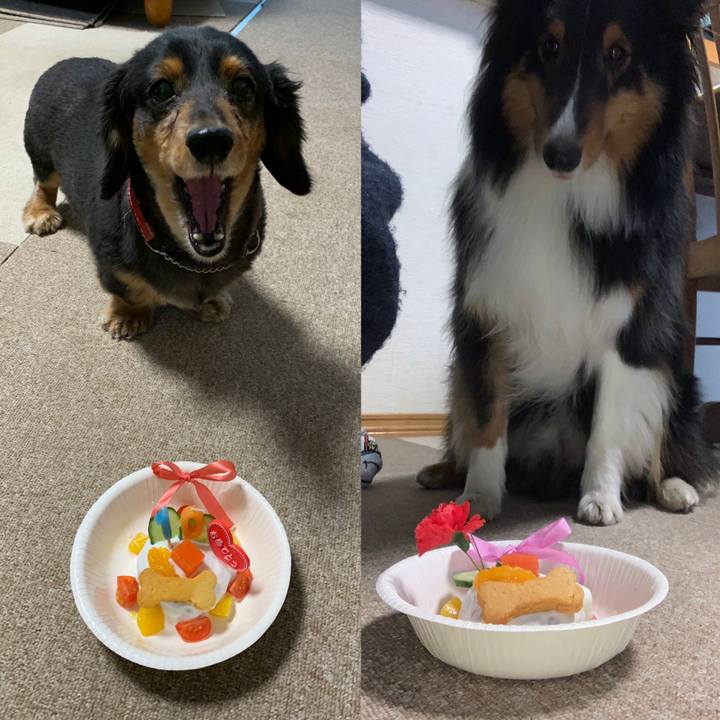 2337d81f 12aa 4bde 93d8 45648fe37794 1553329435661