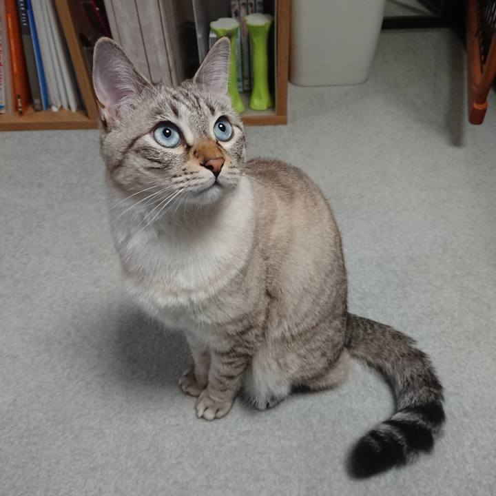 23380470 ed7e 4c41 aa54 f1534ff77789 1541929837336