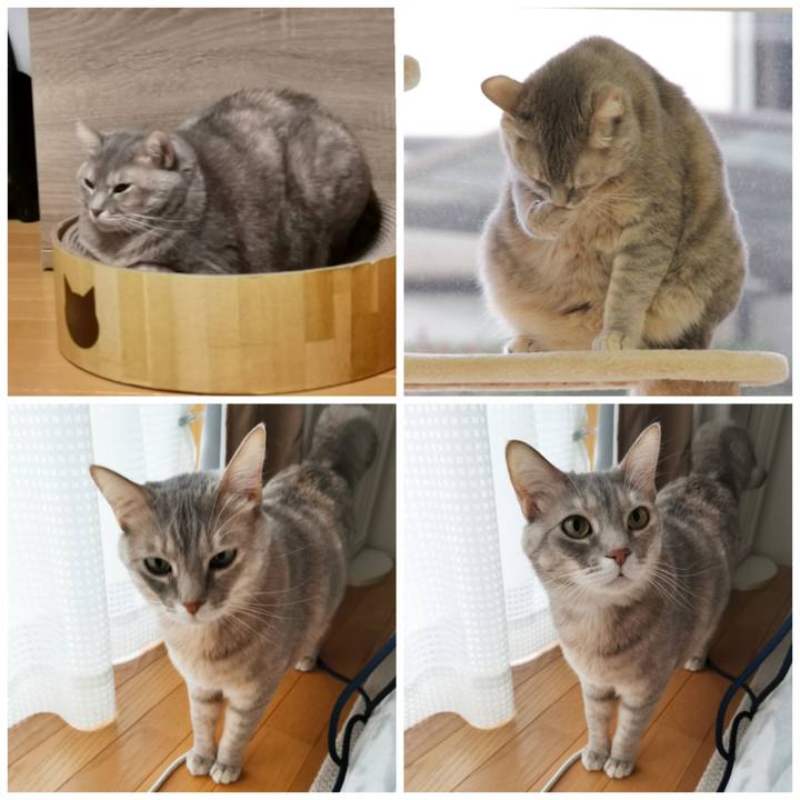 23380856 7f11 4ffe b763 c3803c10ec1f 1611399208485