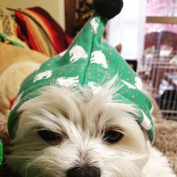 23382690 8aa1 4ff9 9be4 c0cfebef29cb 1543041499180