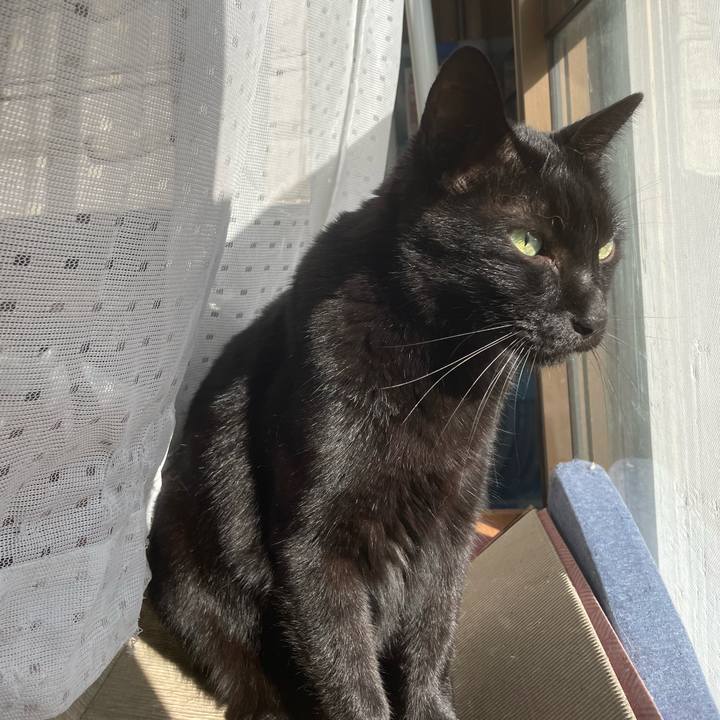 23389022 9499 44d3 bb7e 6172899e2dc2 1634521485269