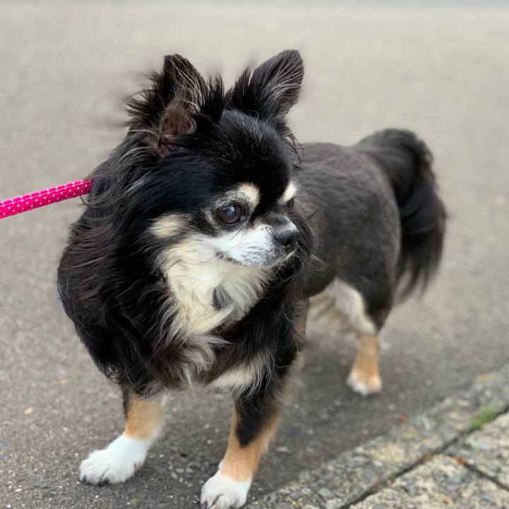 2338b9c1 2f27 4696 968b ad5cc685c424 1563353995026