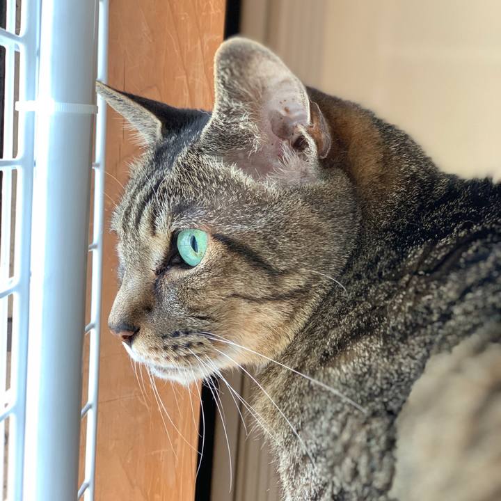 2339218f 8cd1 41b8 814b bdb3600c5c79 1592872895879