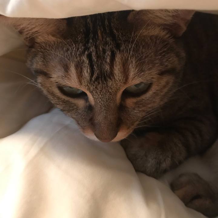 2339579a 8506 4d98 91d5 71f98760f5e9 1598399996127