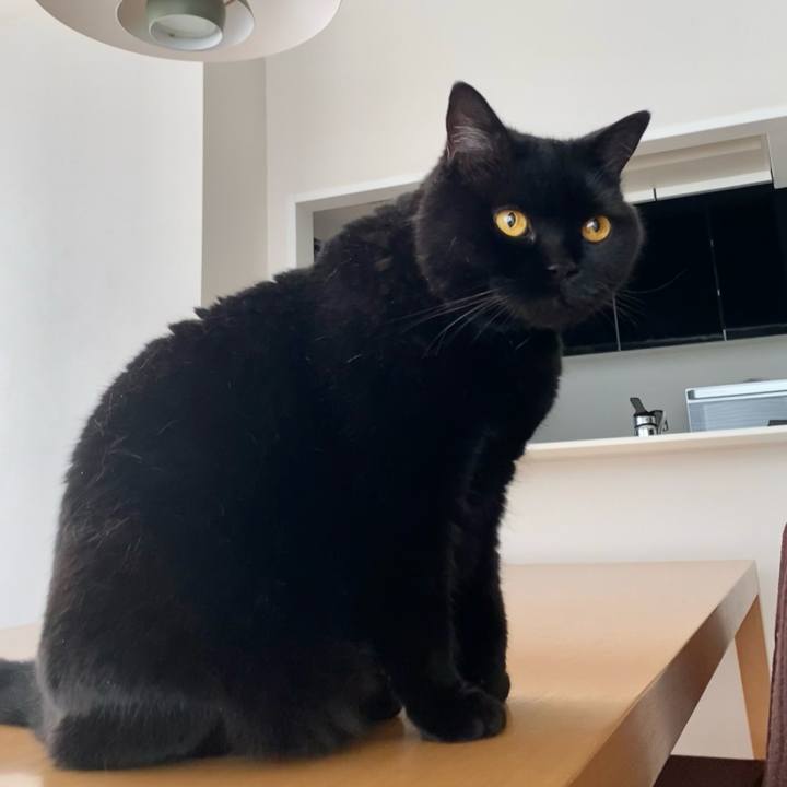 23399ddc 0d79 49a1 ae23 e2772bd69bba 1718489346983