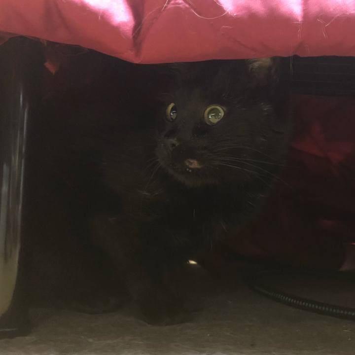 2339b927 5ca6 42e0 91e9 4f1b4e71814c 1618748301797