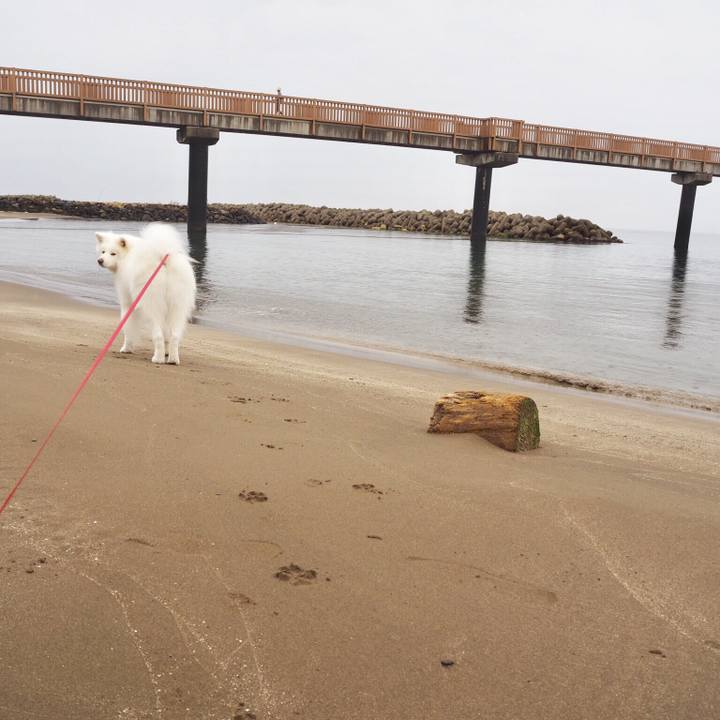 233a01d9 c628 435e 871f 4aaa1fd96b02 1542633720295