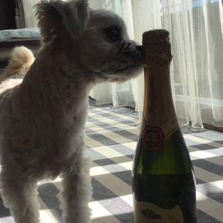 233a0fee 9ad2 48dc a771 95ce607b1816 1514460779383