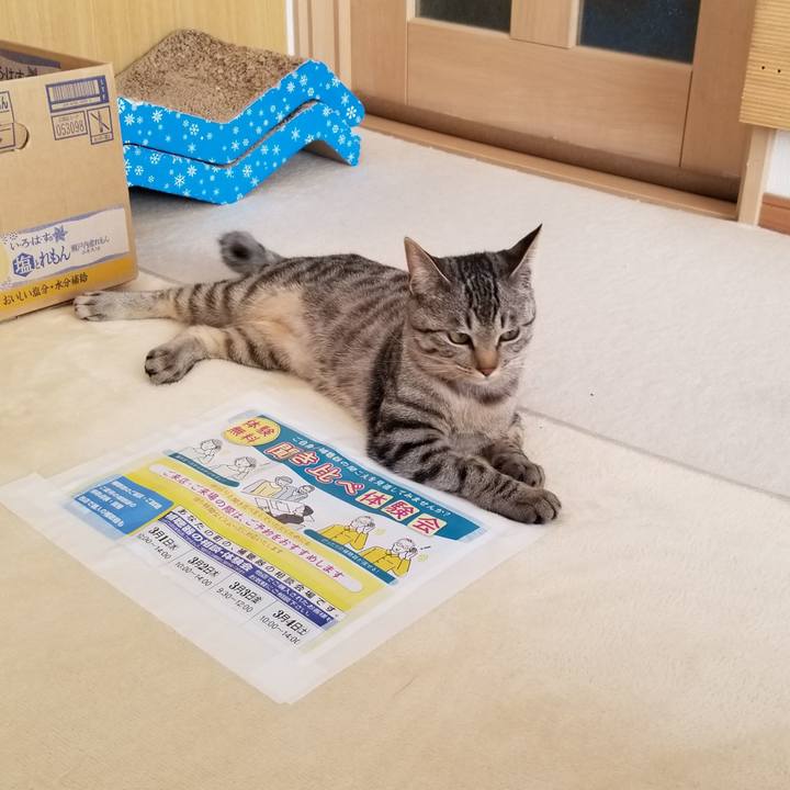 233a5c8f 7761 4426 9d25 1d6a82d559ee 1677884227880