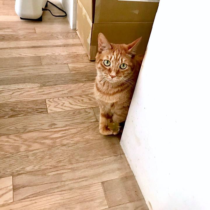 233a6cfe 5242 4497 8569 000b5f8cd2f6 1554342123811